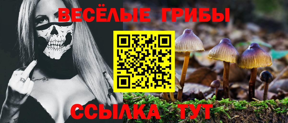 Галлюциногенные грибы мицелий Белорецк